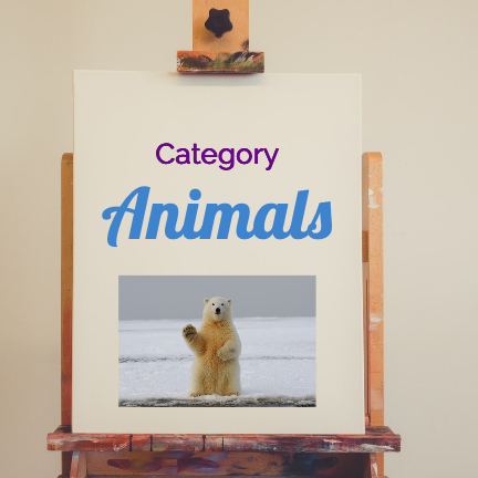 Picture of an easel art stand that has paper on it that says:
&quot;Category: Animals&quot;
There is a picture of a polar bear waving.